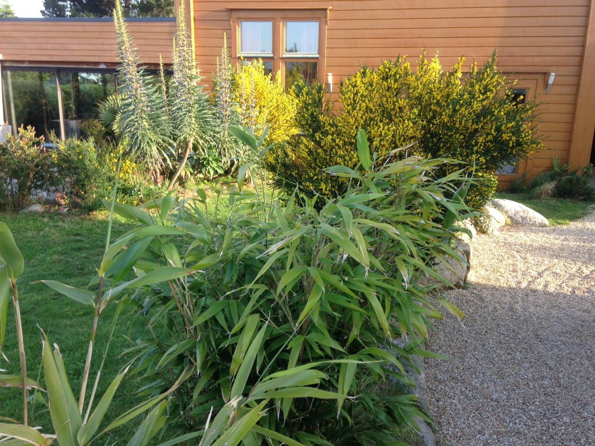 Les Villas D' Onalou Port Blanc Penvénan Exteriér fotografie
